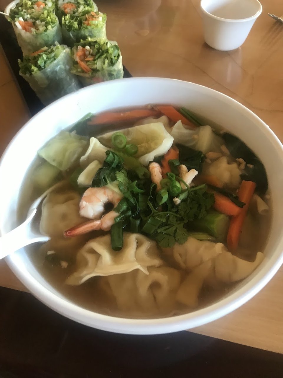 Shrimp Wonton Soup with Vegetables